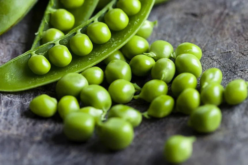 3 HEALTH BOOSTING REASONS TO INCLUDE PEA PROTEIN ISOLATE INTO YOUR DIETARY PLAN TODAY