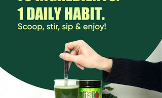 Balance Your Gut Health for Long-Term Wellness