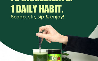 Balance Your Gut Health for Long-Term Wellness