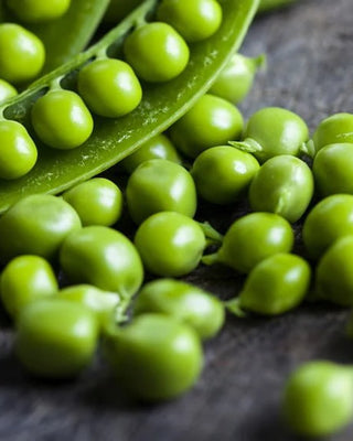 3 HEALTH BOOSTING REASONS TO INCLUDE PEA PROTEIN ISOLATE INTO YOUR DIETARY PLAN TODAY